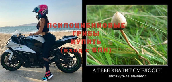 мяу мяу мука Медвежьегорск