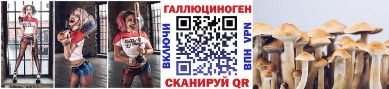 Псилоцибиновые грибы мухоморы  Дмитриев 