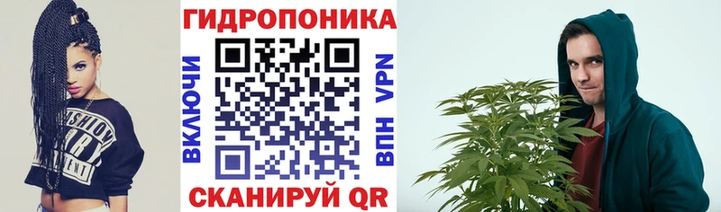 Конопля индика  ссылка на мегу онион  Дмитриев 